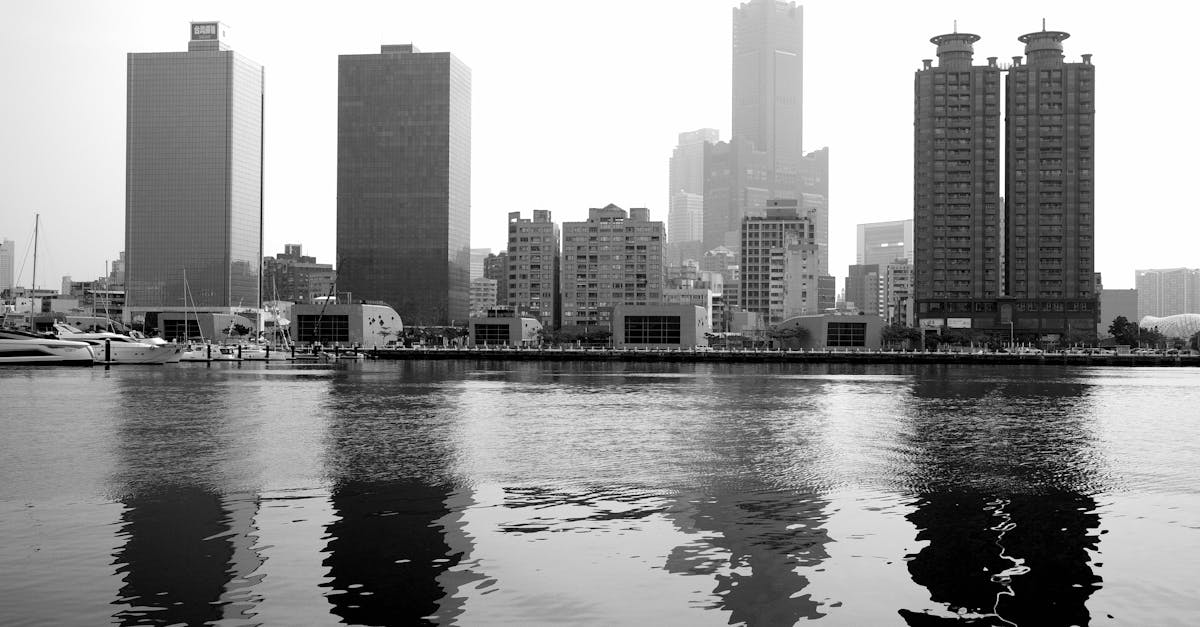 傳柯文哲角逐高雄 林岱樺 高雄不是報復工具是高雄人的高雄