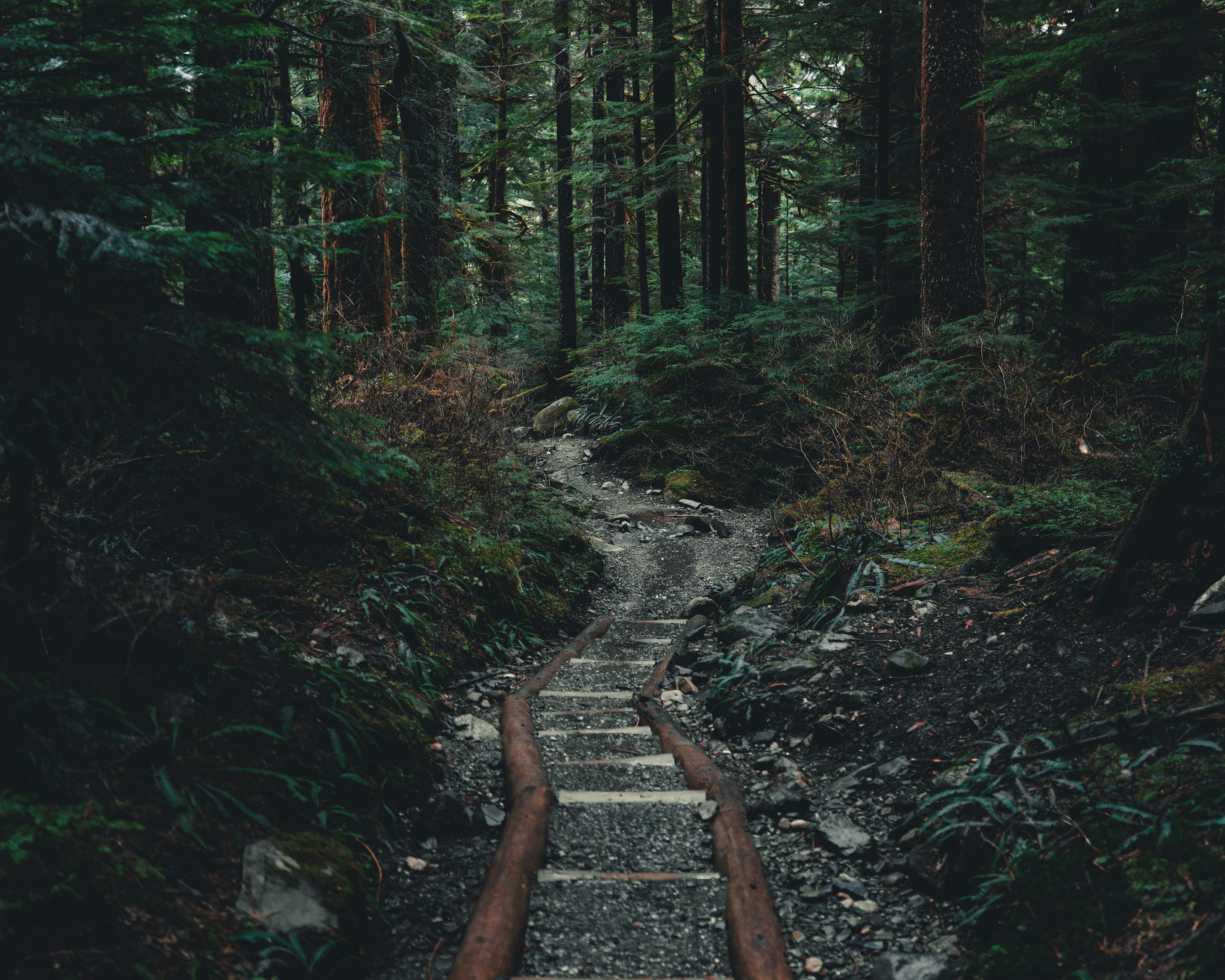 Path to Nowhere: Active Pause, Not Idle Defense