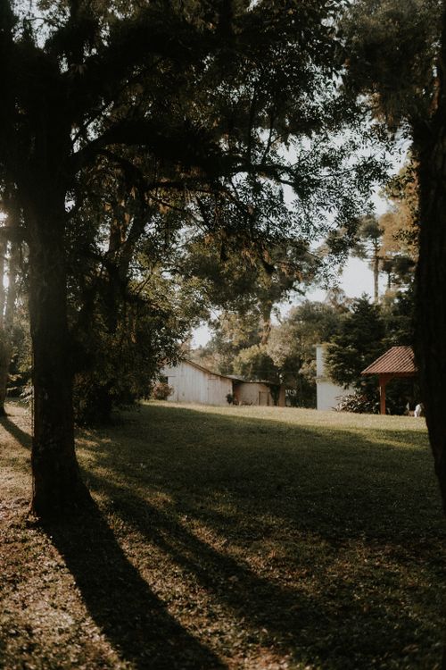 Free A serene park scene with sunlit trees and rustic buildings casting long shadows. Stock Photo