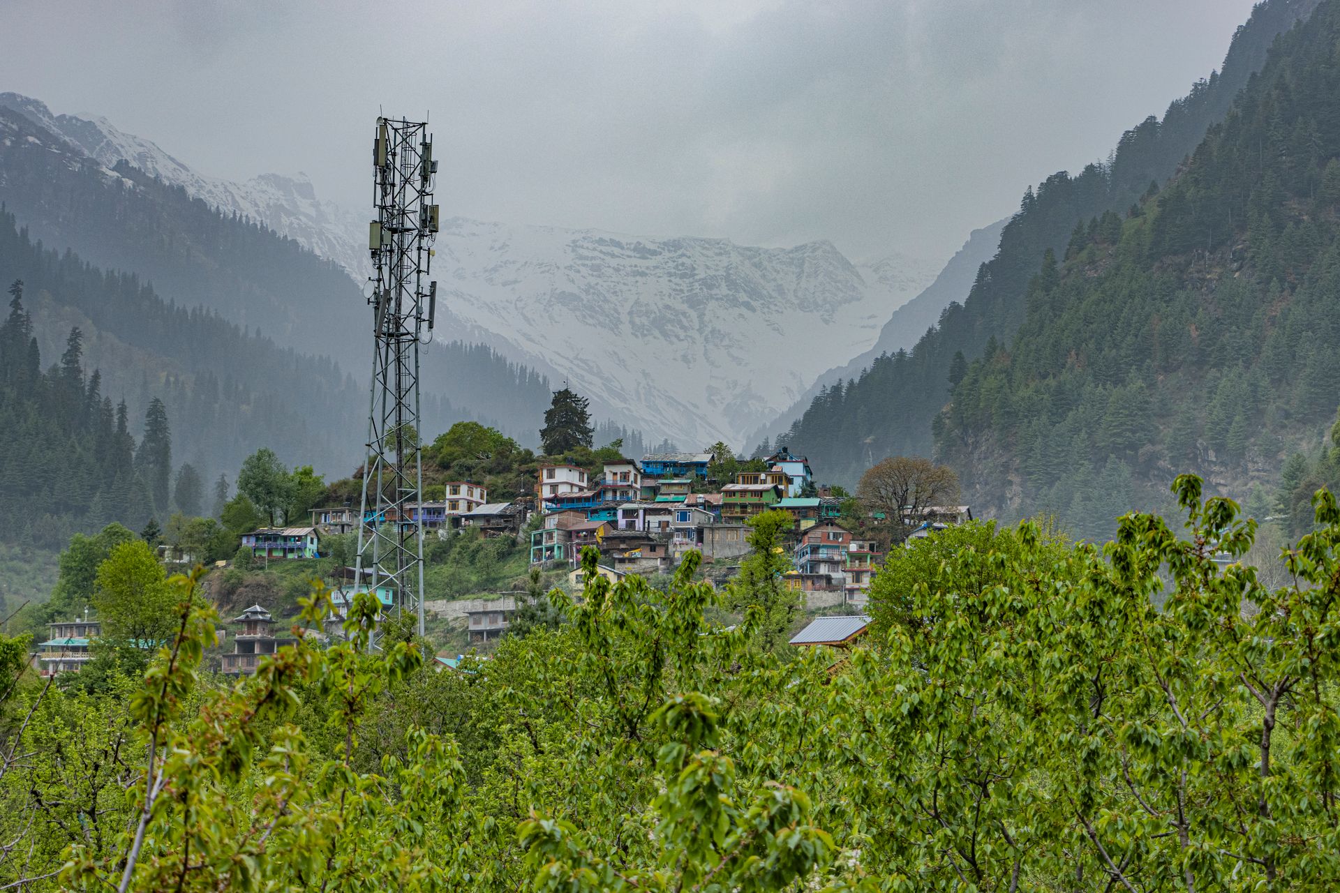 Old Manali, Himachal Pradesh