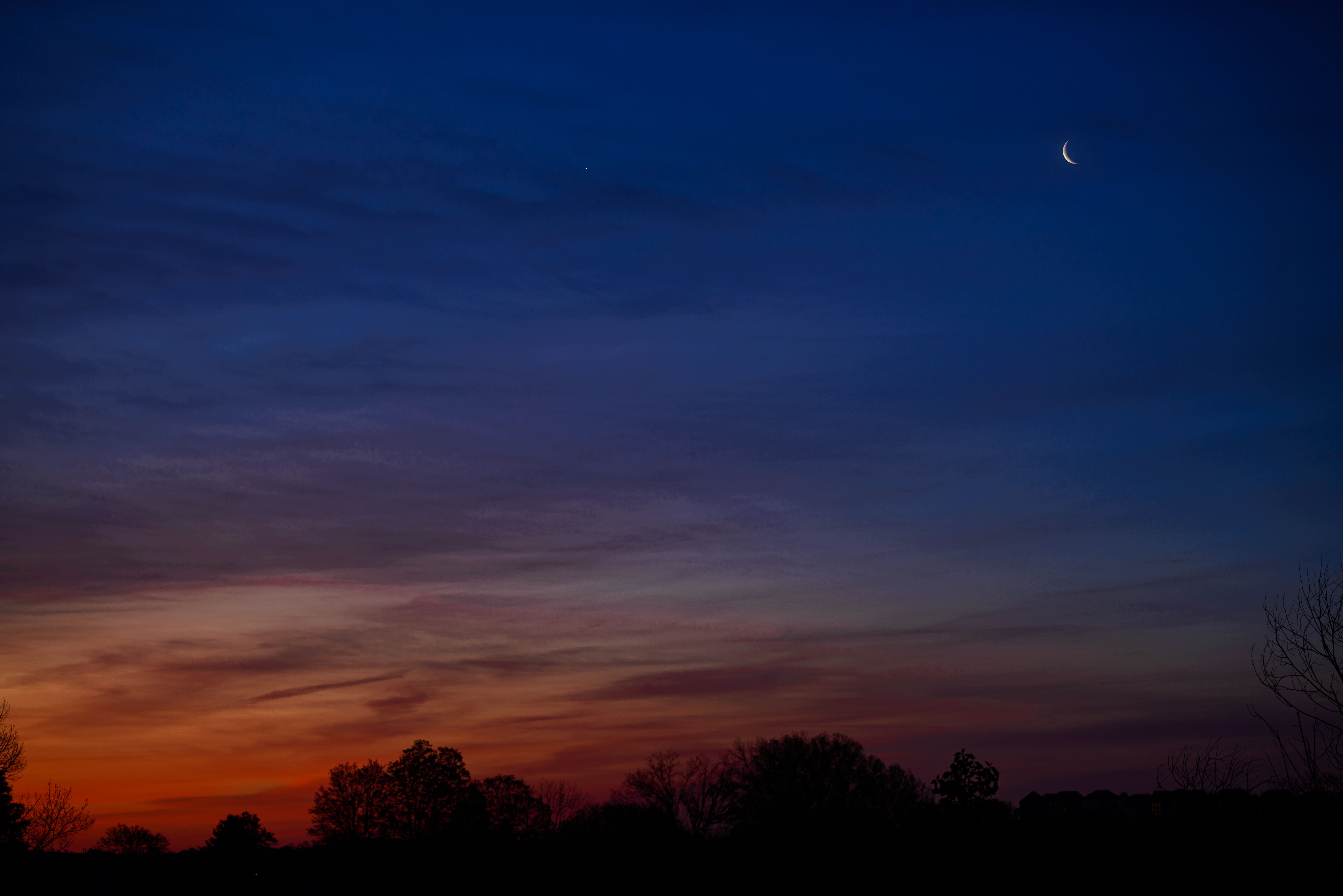 Brown Leave Less Tree during Sunset · Free Stock Photo
