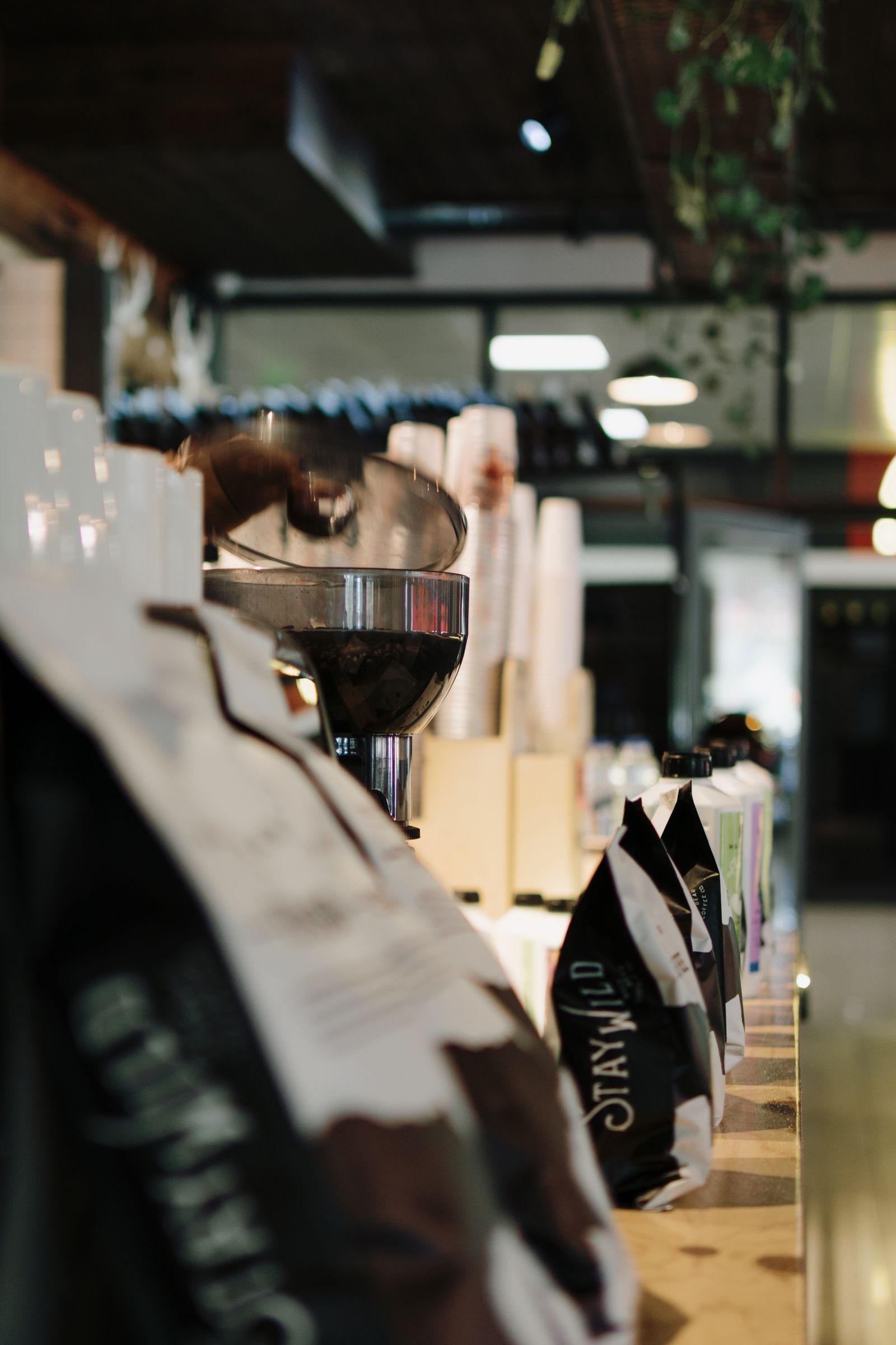 The roastery counter with brewing equipment and bagged coffee