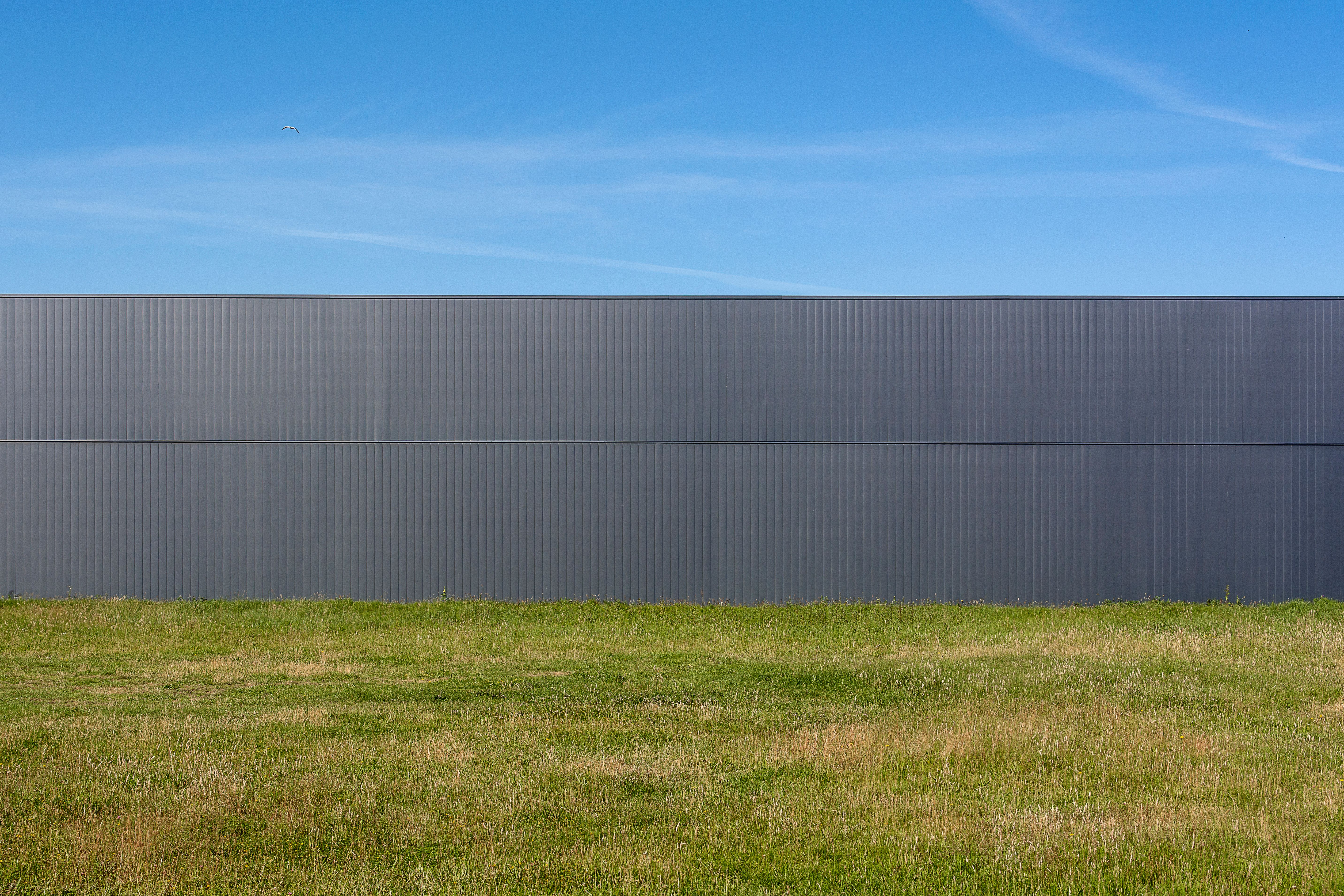 Moderne Metallwand hinter dichtem Gras unter klarem blauem Himmel
