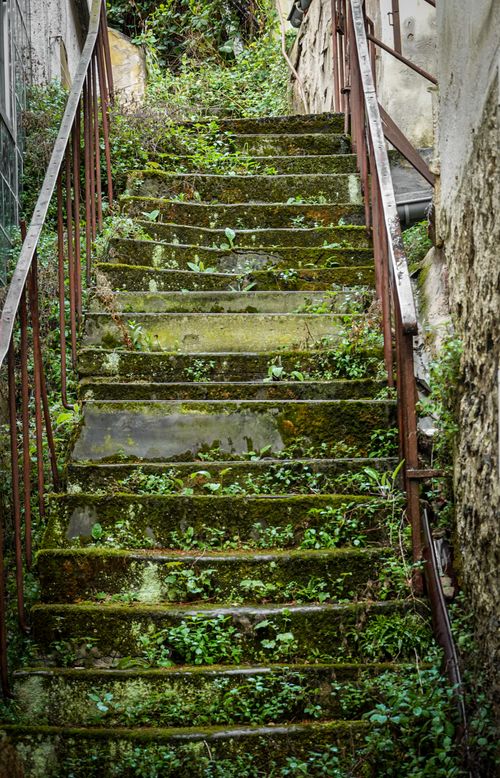 Free Old stone stairs covered in moss and plants, creating a rustic natural look. Stock Photo