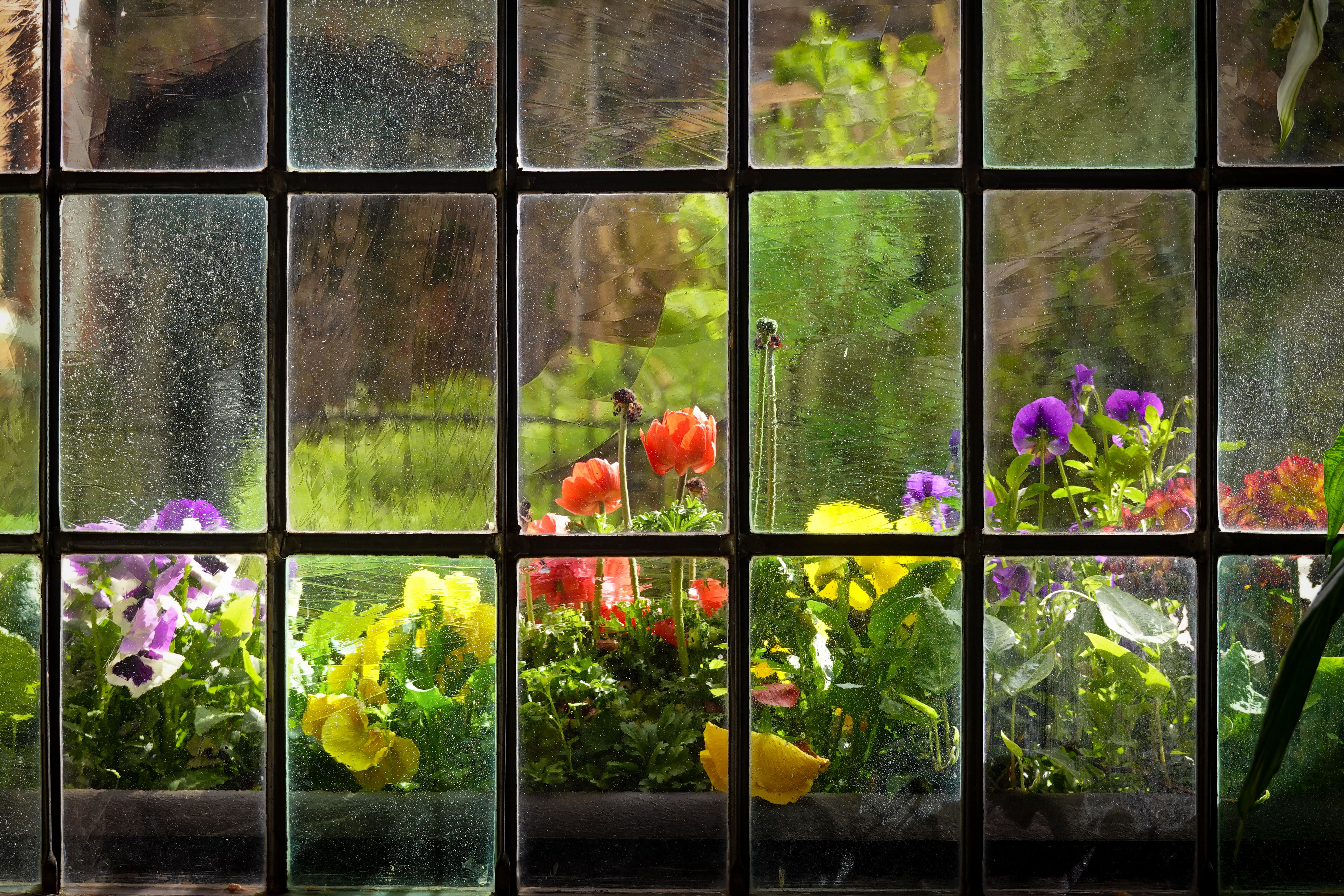 Moderne Frühlings-Fensterdeko: 5 DIY-Anleitungen für einen neuen Look — Material-Übersicht