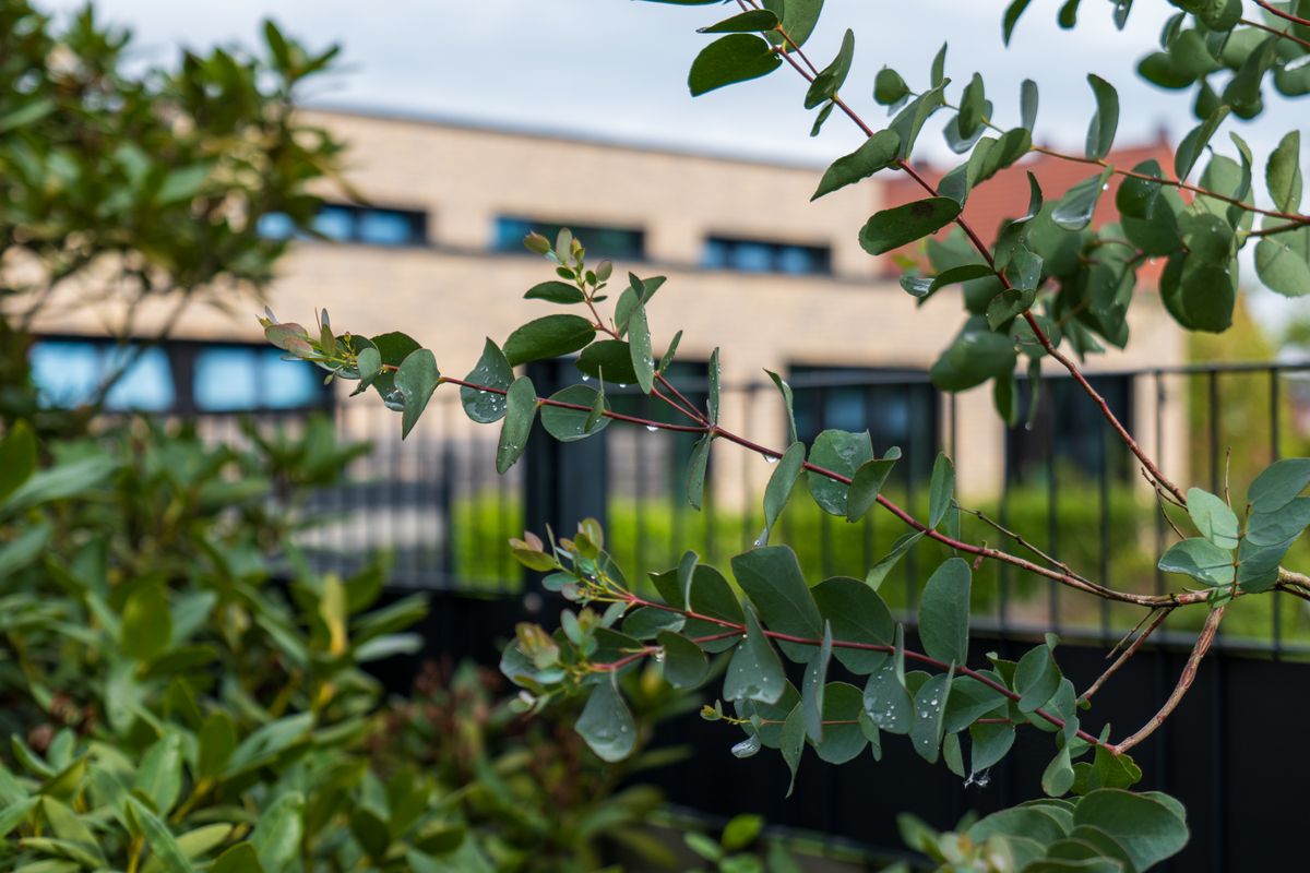 student moves in Langport — Student Moves in Langport — the working end of the job