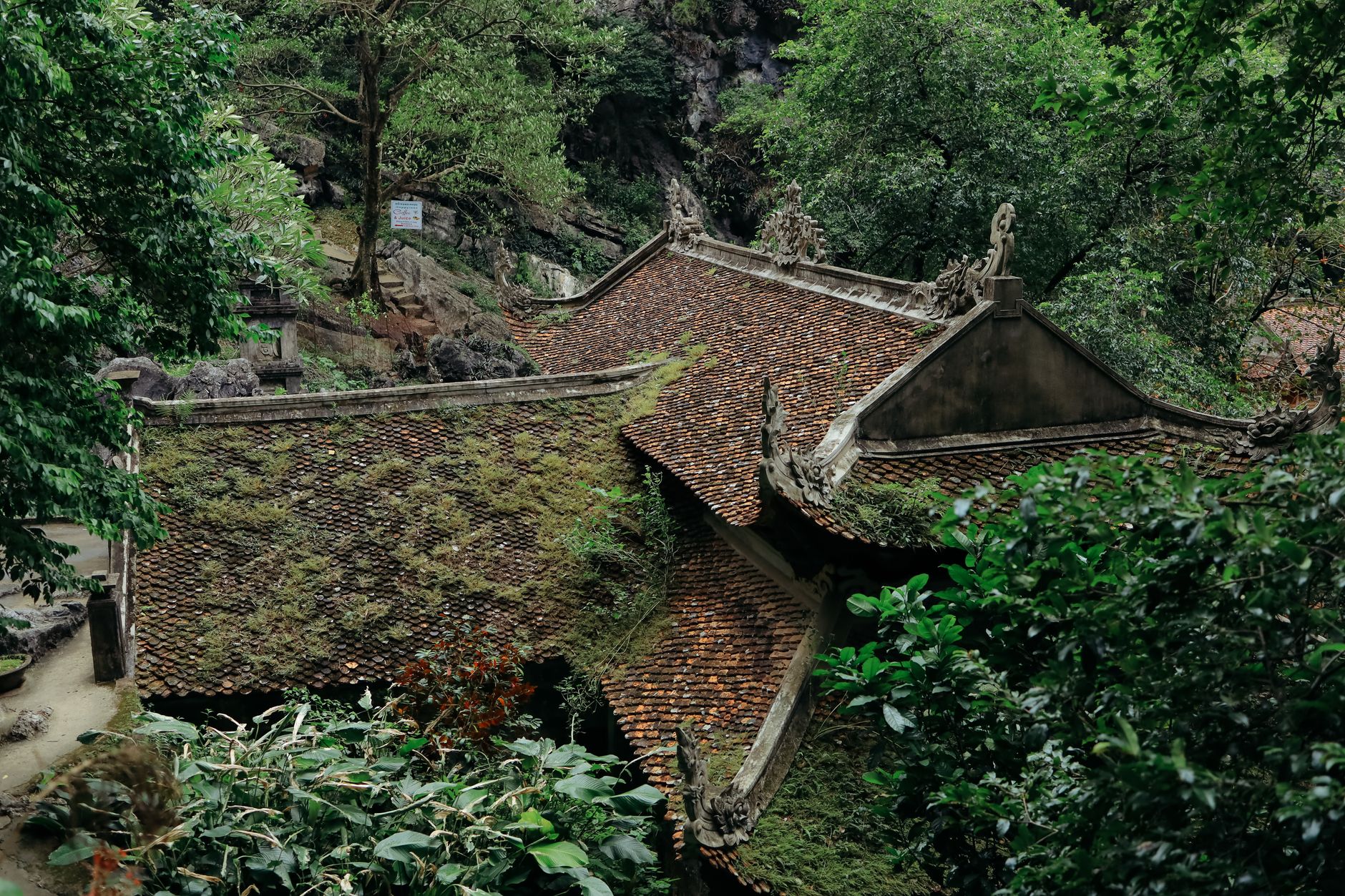 Traditional moss-covered pagoda roof surrounded by lush greenery in Ninh Bình, Vietnam.