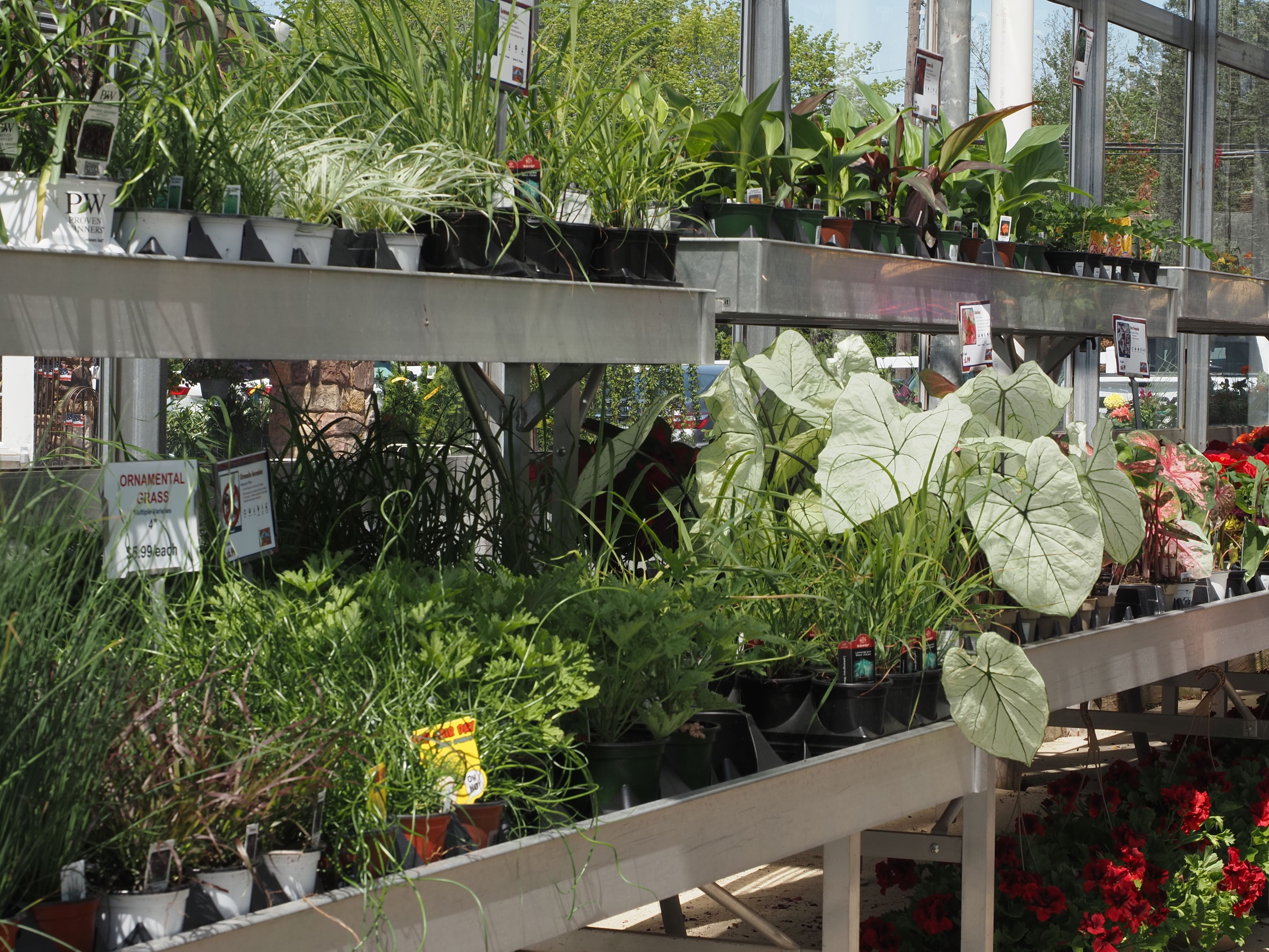 Online Plant Catalogs for Nurseries & Garden Centers