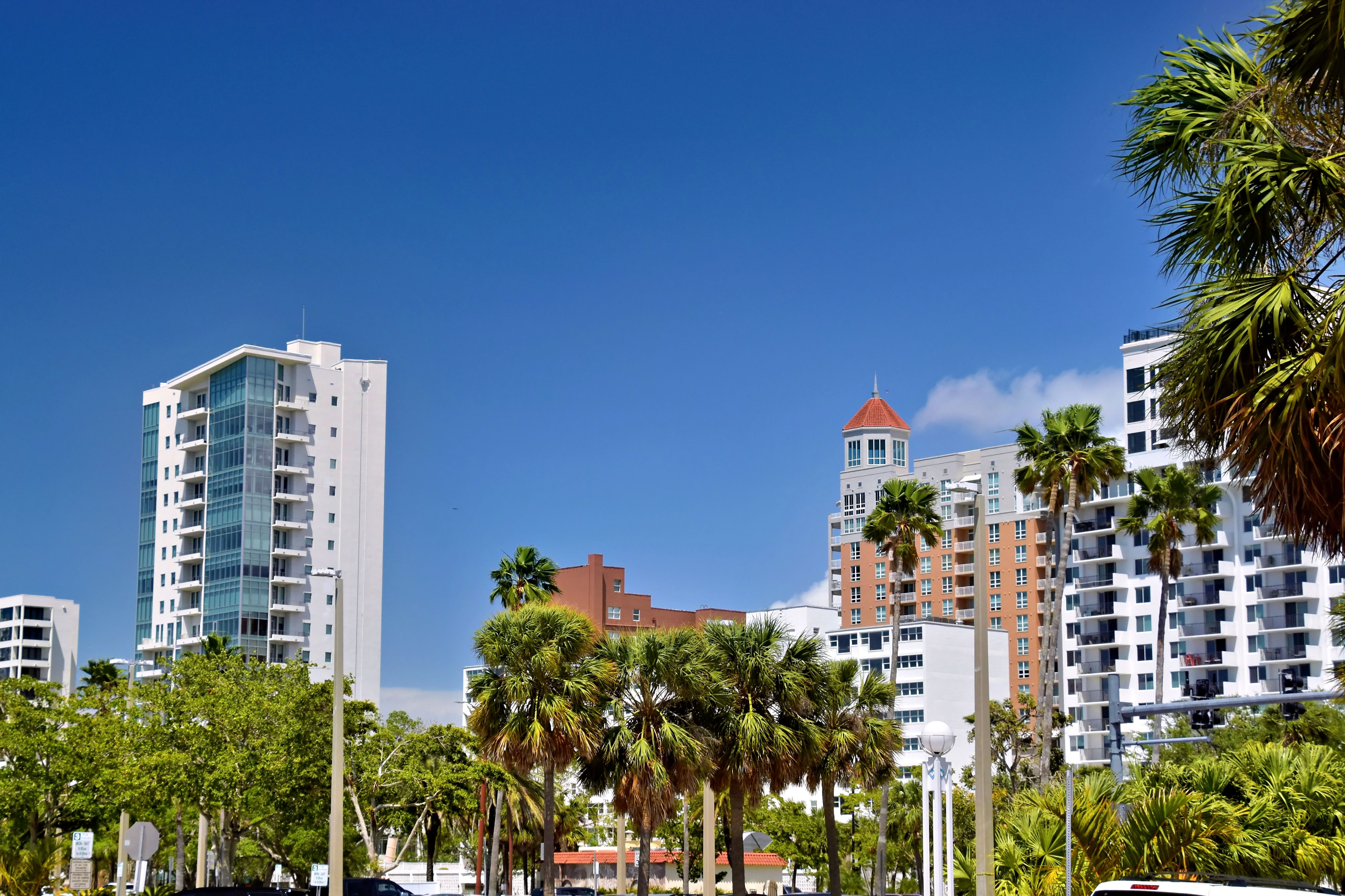 A vibrant urban scene featuring Sarasota's high-rise buildings and palm trees under a clear sky. | BocaVibe
