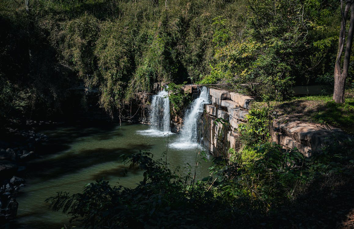 une rivière entourée de forêt dense