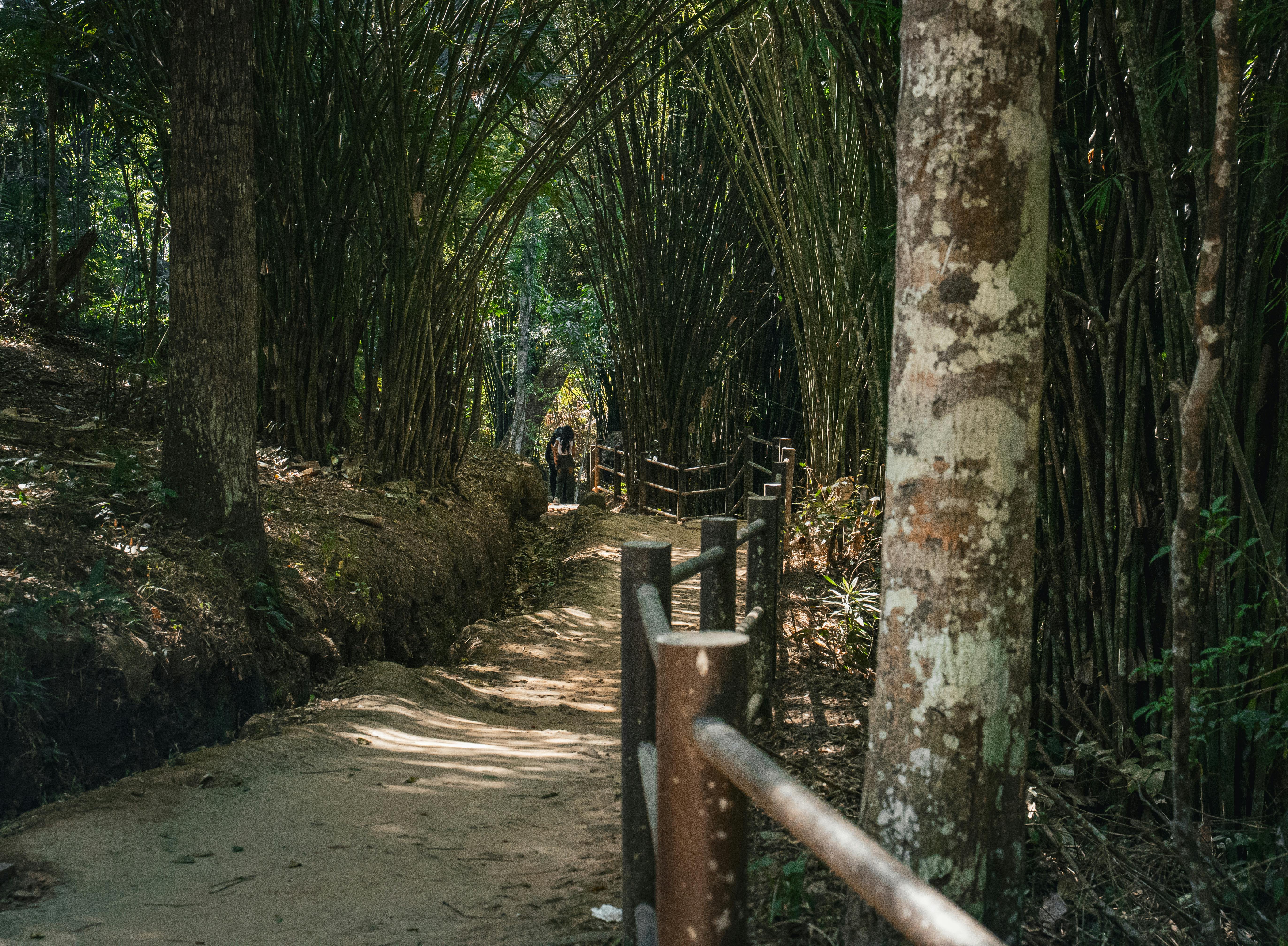 Free+Bitmap+Images Photos, Download The BEST Free Free+Bitmap+Images ...