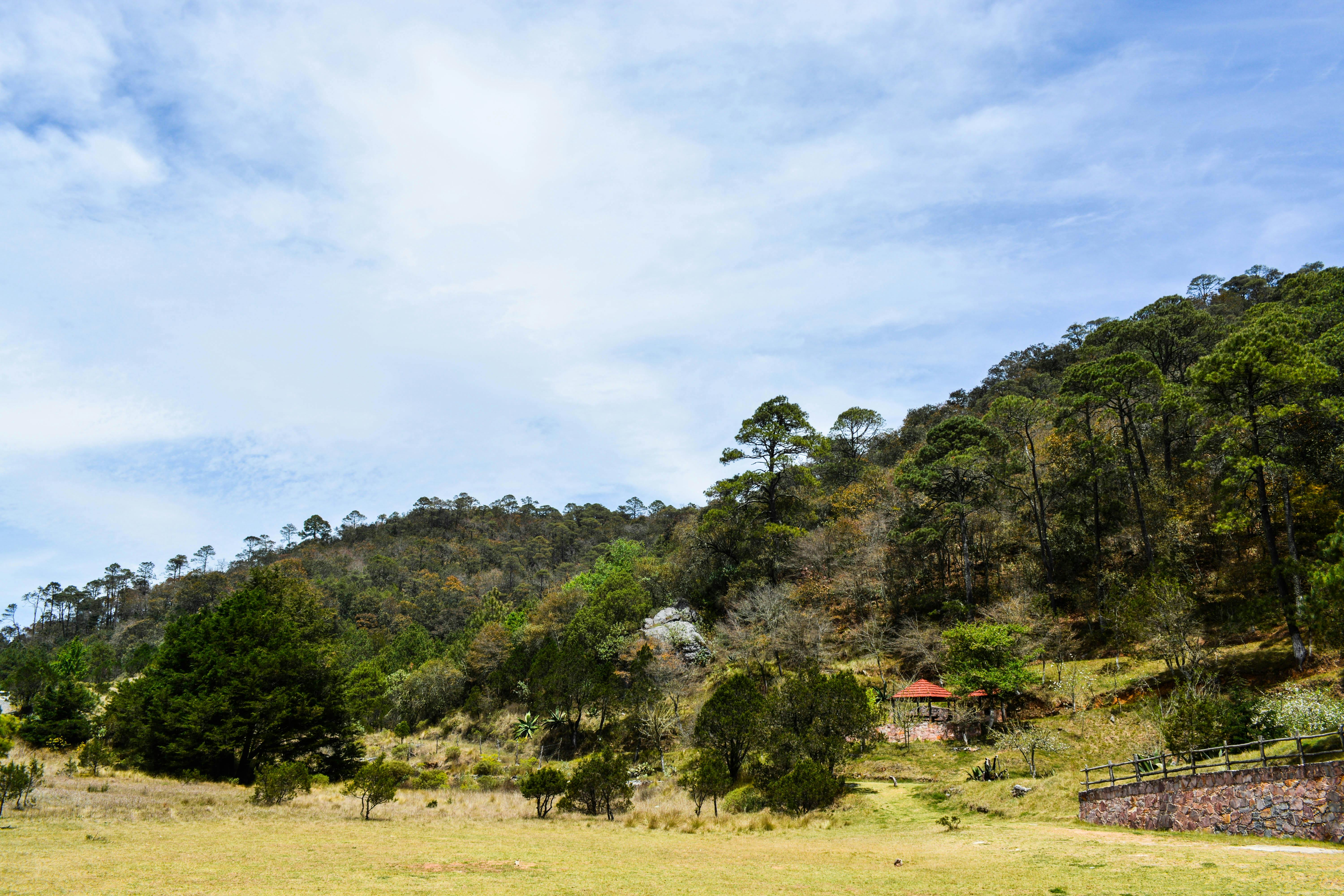 San Joaquín, Bolivia - travel photo