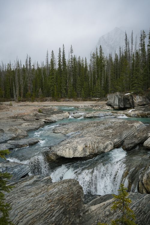Free Serene waterfall flowing through Yoho National Park's rocky landscape on a misty day. Stock Photo