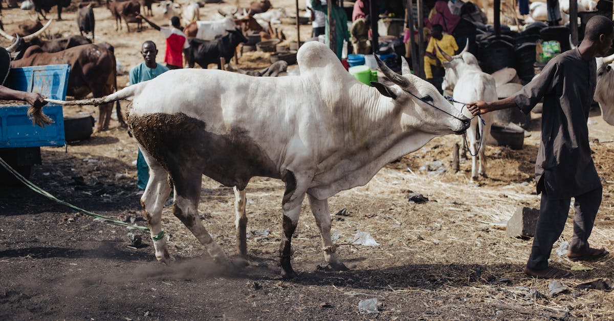 1分鐘讀財經》川普100天摧毀70年自由貿易!後面3張骨牌全倒