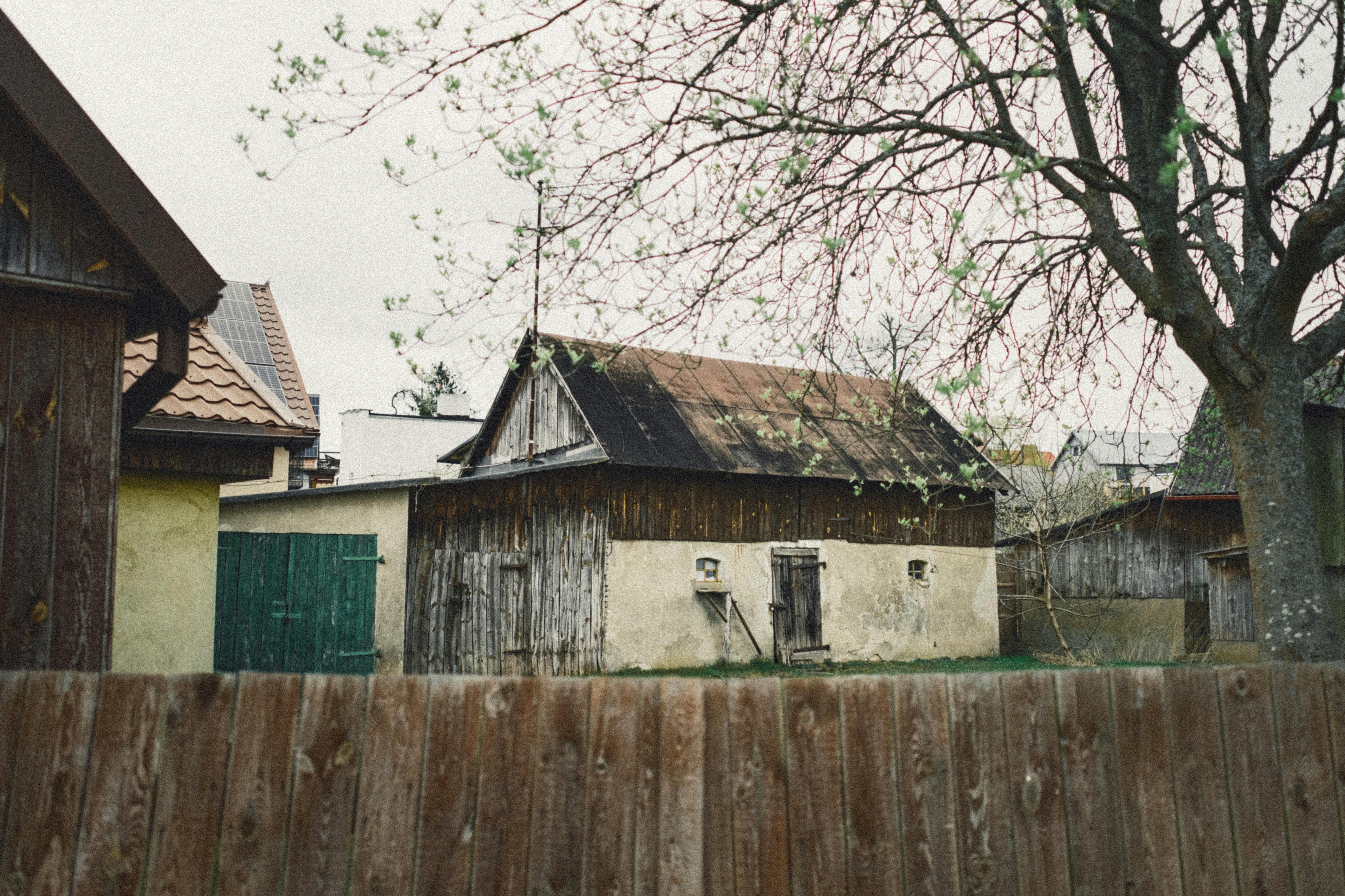 Charmante cabane rustique entourée d'arbres en herbe au début du printemps, capturant la tranquillité et la simplicité.