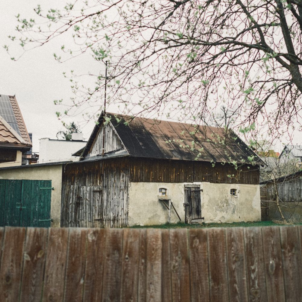 Fence and Decking Painting in Wood Green — walls rolled to an even, flat finish