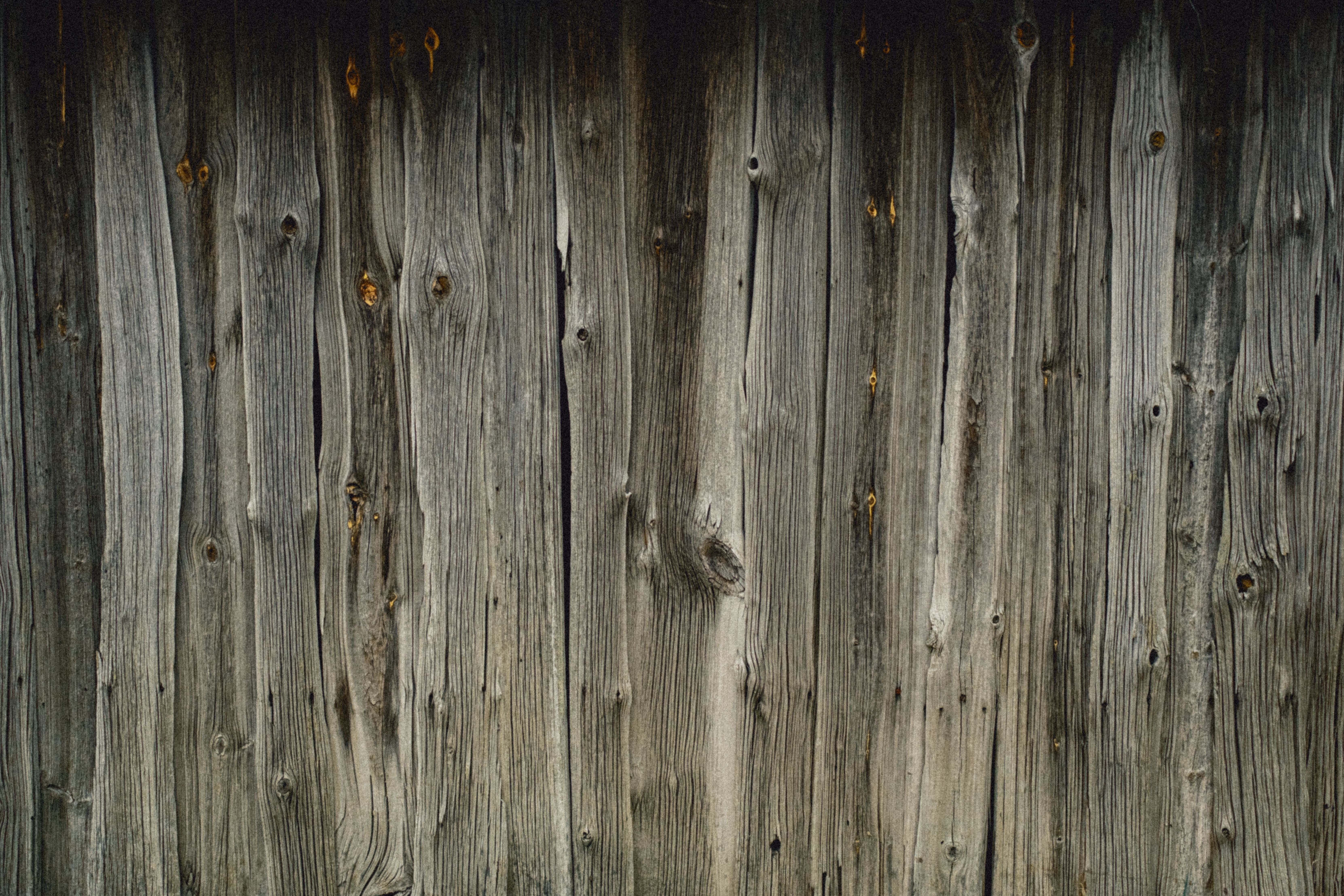 Fence and Decking Painting in Surbiton — woodwork brushed to a crisp, smooth line