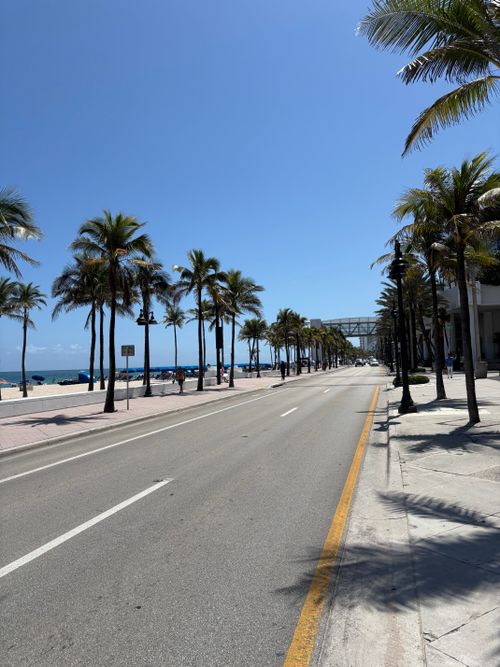 Free A scenic view of a sunny beachfront road lined with palm trees and a clear blue sky. Stock Photo