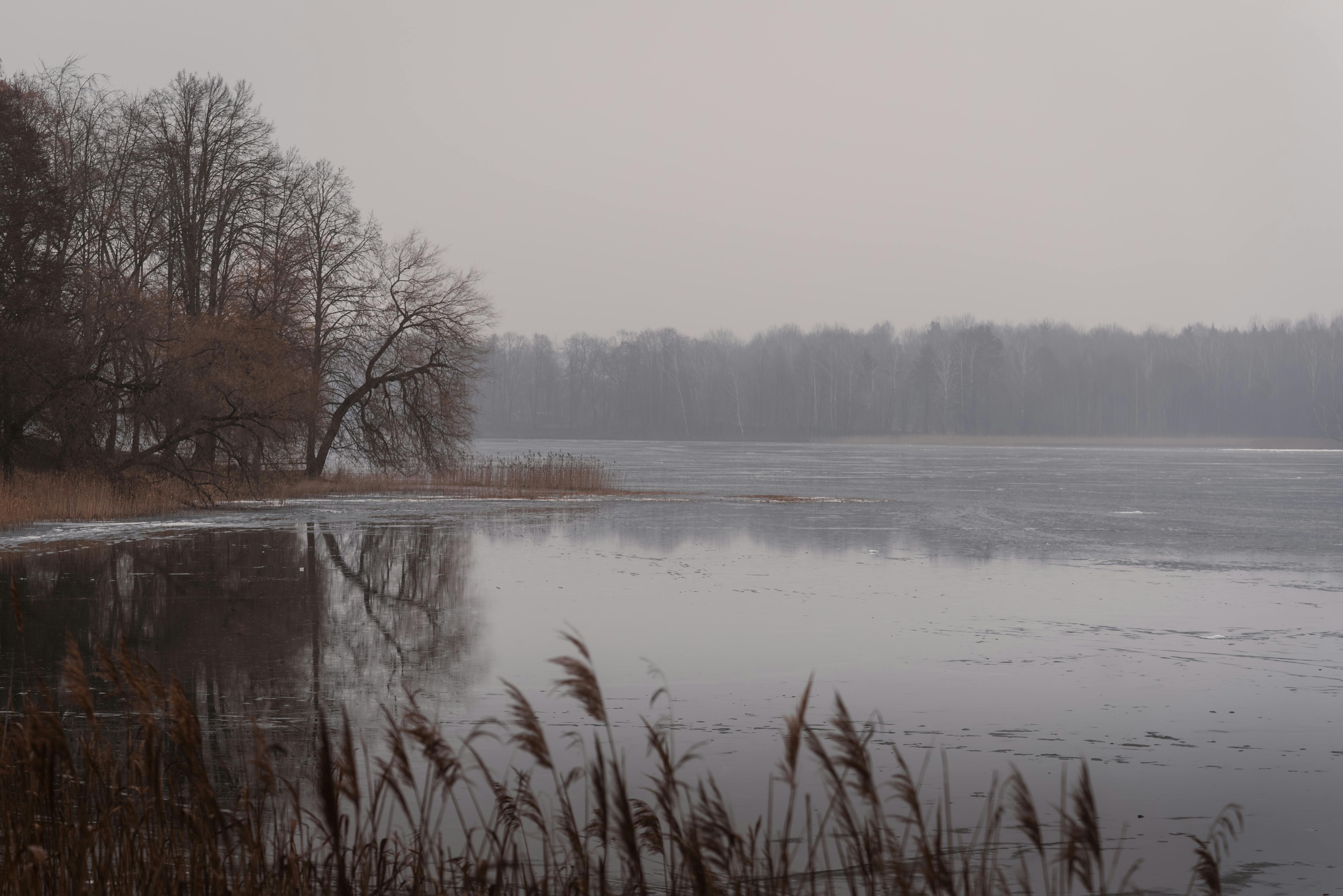 Pam+Bondi+Bikini+Pictures+ Photos, Download The BEST Free Pam+Bondi ...