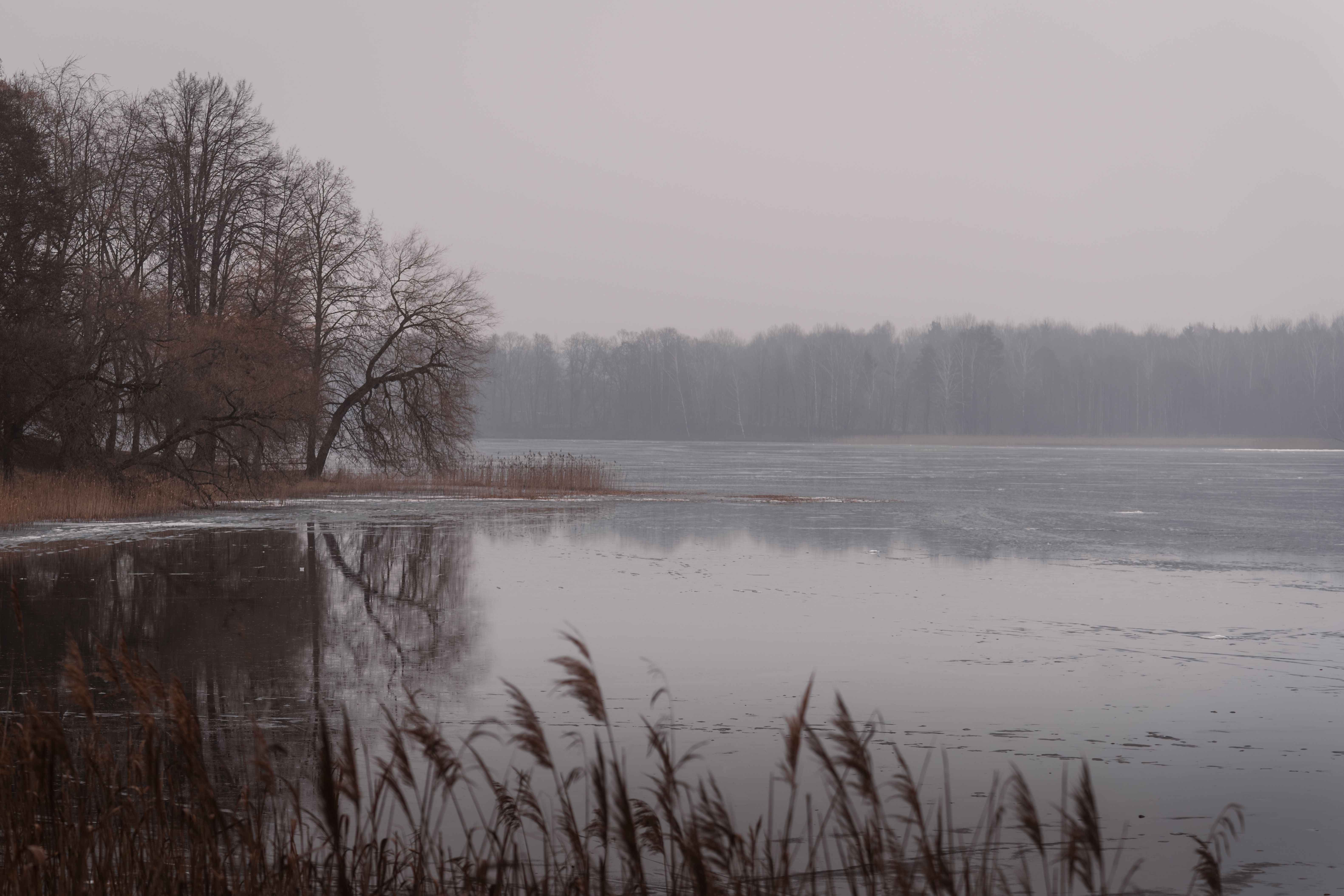 Neutral Nature Desktop Wallpaper Photos, Download The BEST Free Neutral ...