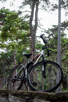 A mountain bike parked amidst a lush green forest, showcasing outdoor adventure.