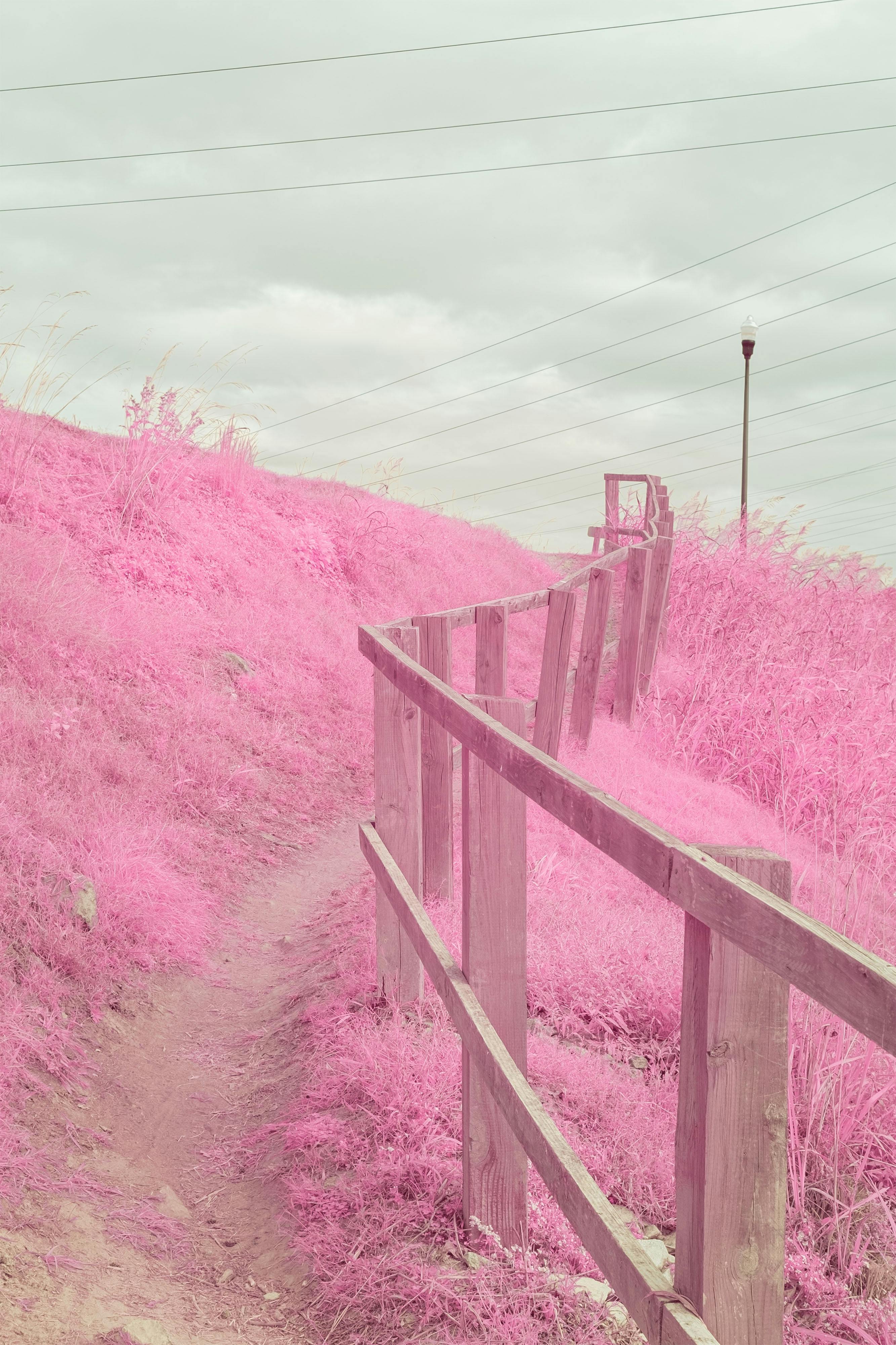 An ethereal and surreal infrared landscape featuring a wooden railing along a walking path.