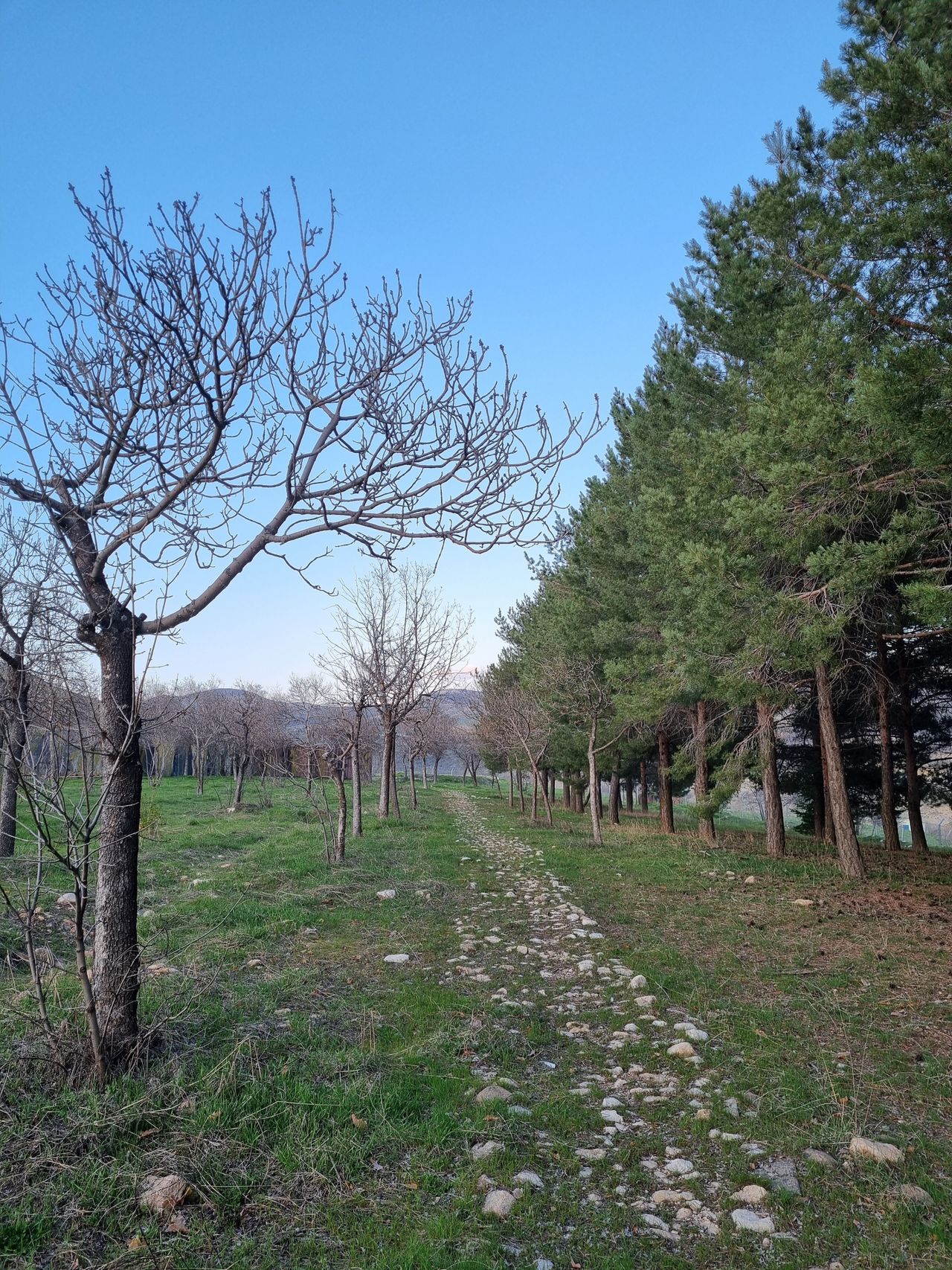 Arslanbob & Song-Kul