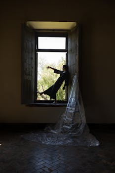 Artistic silhouette of a woman in a window with a plastic-covered ladder indoors.