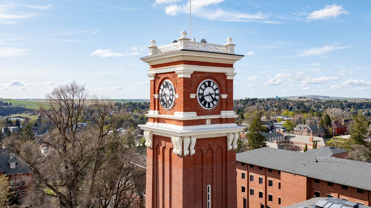 Washington Dc Clock Washington State University Clock Tower in Spring · Free Stock Photo