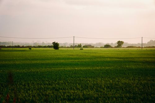 Free Beautiful landscape of a vast green field under a tranquil sky during the day. Stock Photo