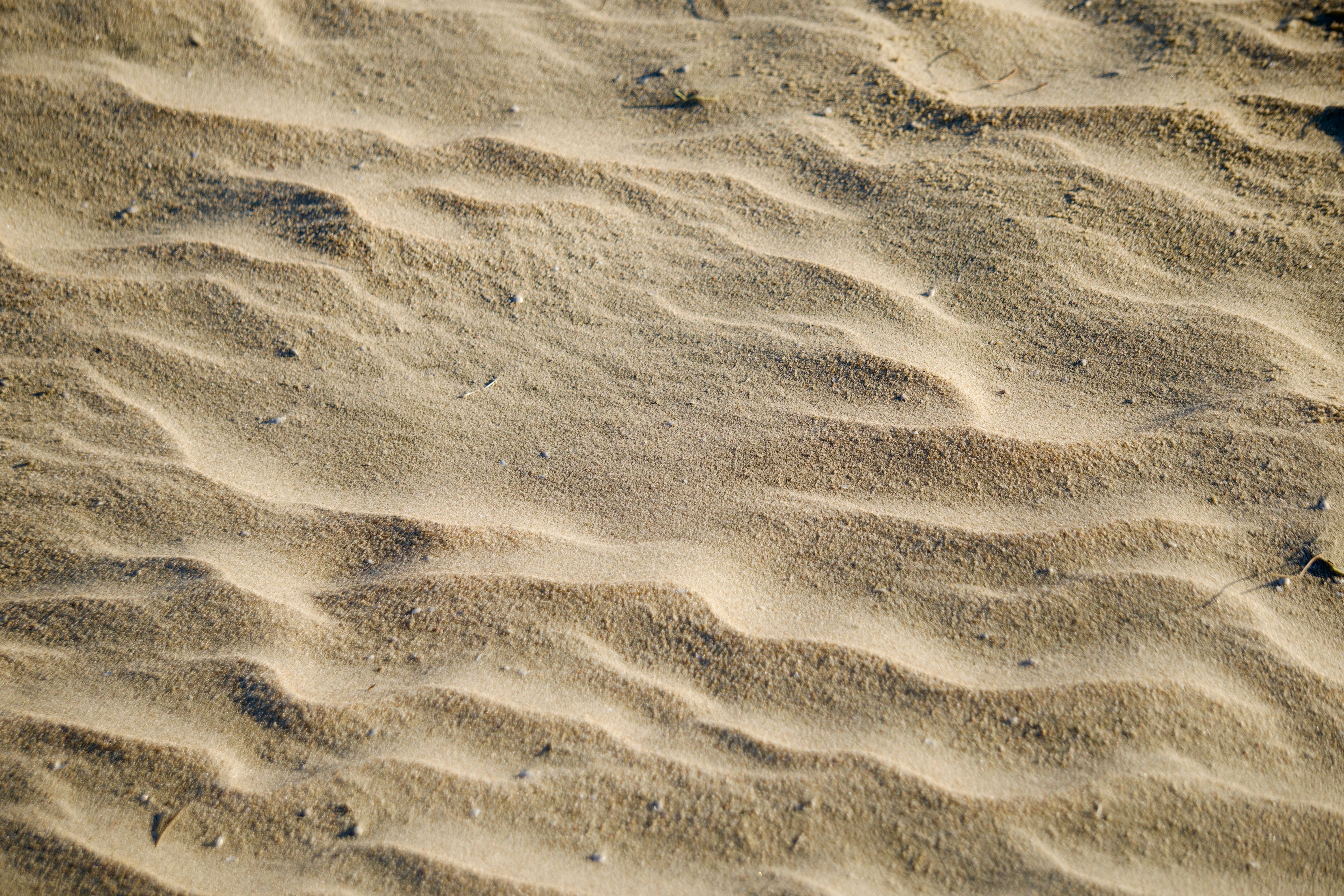 Golden Sand Patterns in the Desert Sunlight · Free Stock Photo