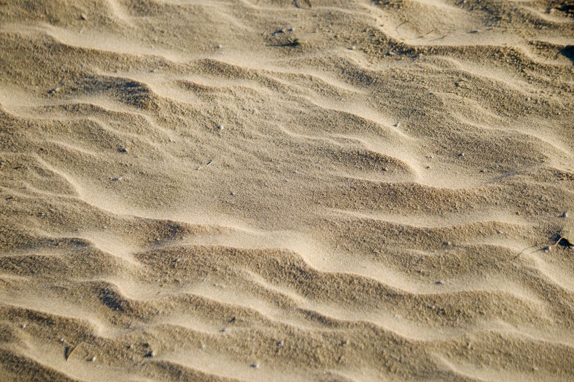 Golden Sand Patterns in the Desert Sunlight · Free Stock Photo