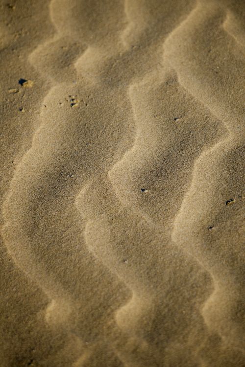 Free Close-up view of rippled sand patterns formed by wind on a beach at sunset. Stock Photo
