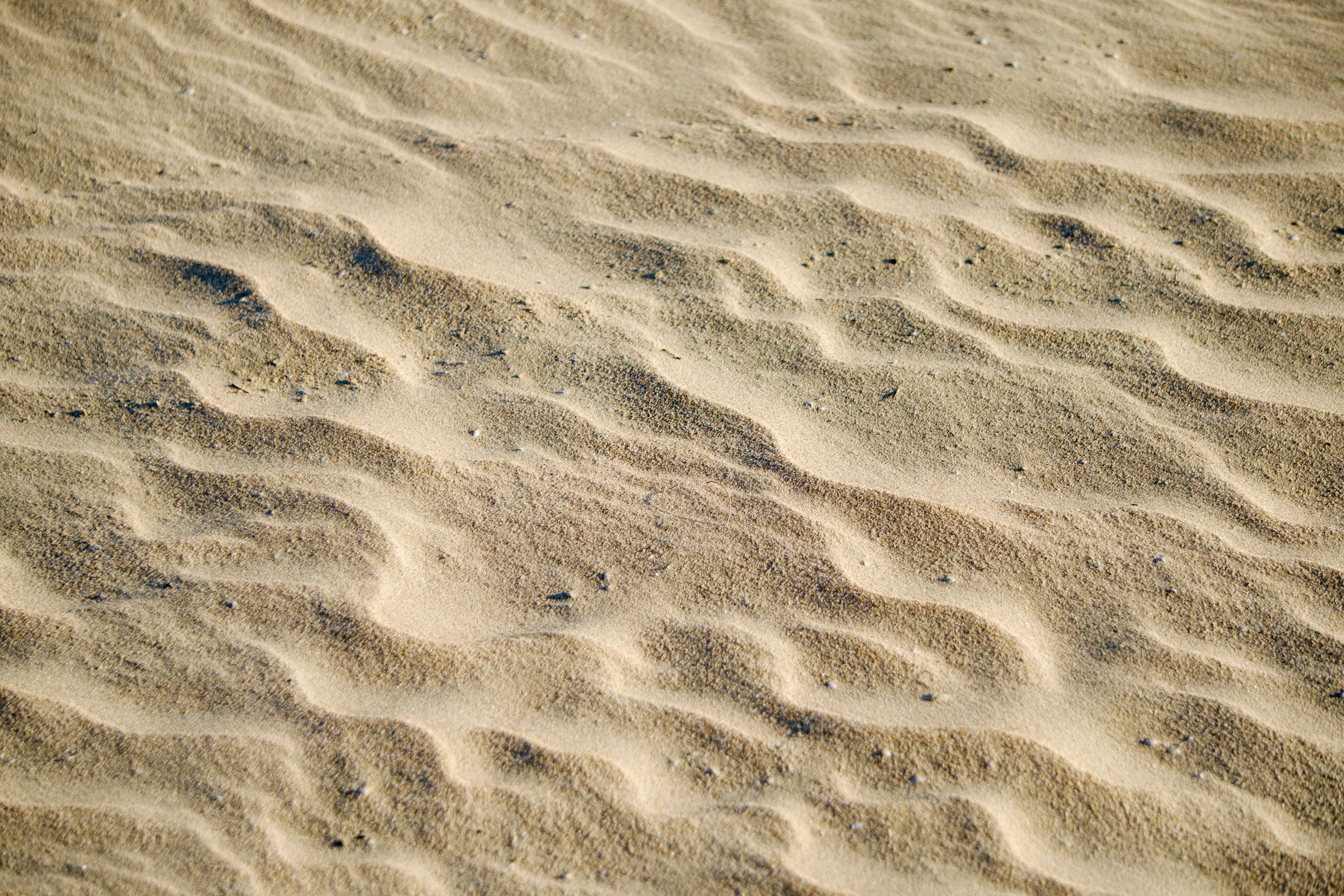 How Many Grains of Sand Are There on Earth? - The Institute for ...