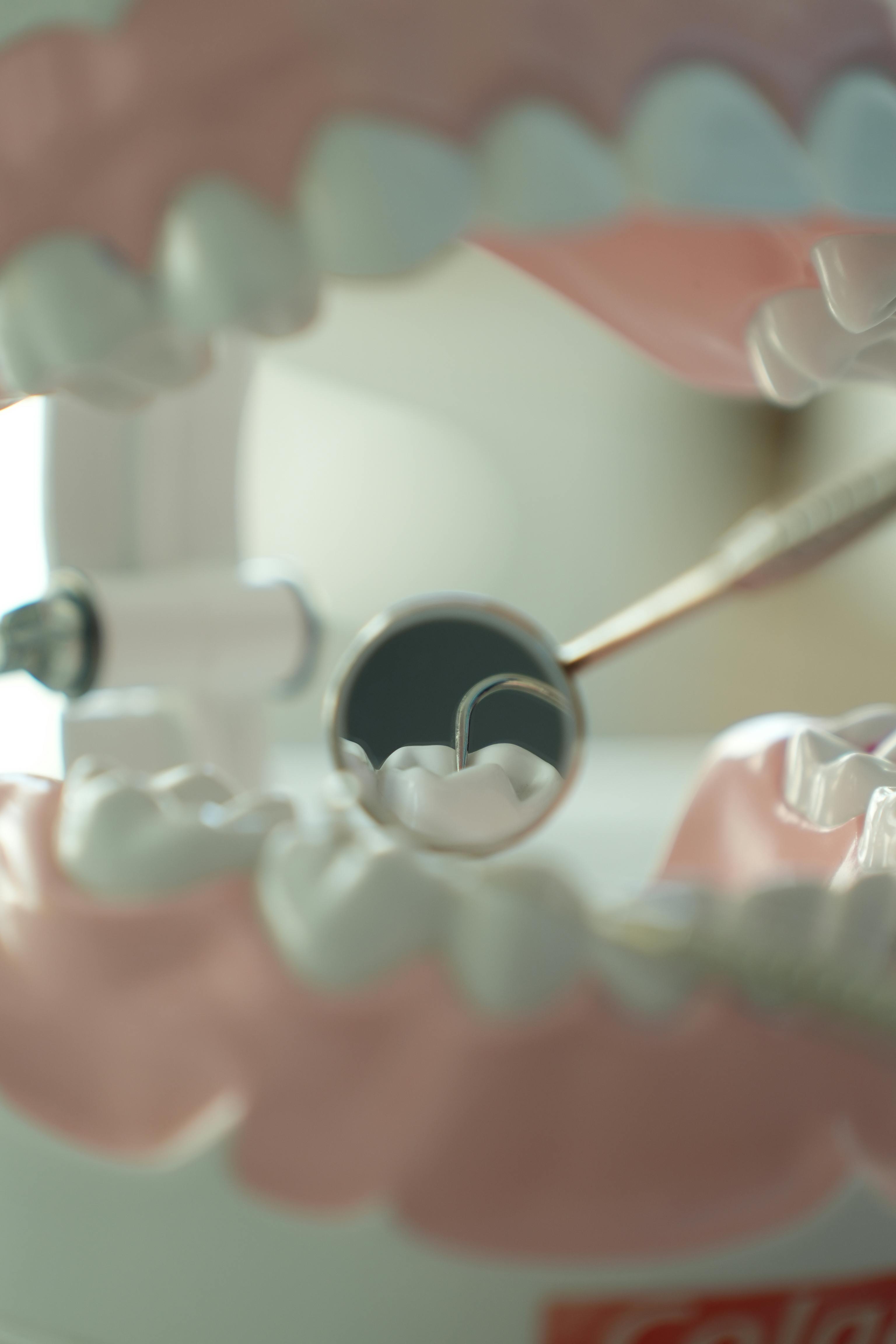 bezplatná Detailní pohled na dentální nástroje a modelové zuby, používané pro zubní vzdělávání a praxi. Základová fotografie