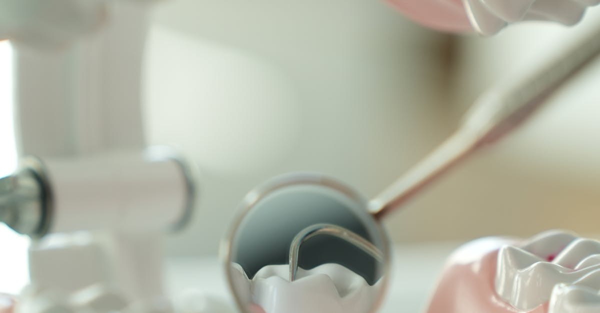 HTC 攜手美國三大夥伴,打造全美最大高齡沉浸式 XR 治療計畫