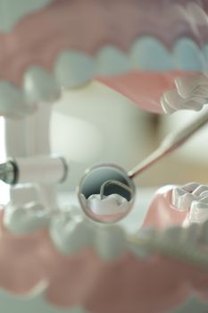 Detailed shot of dental tool examining model teeth, showcasing dental care concepts.
