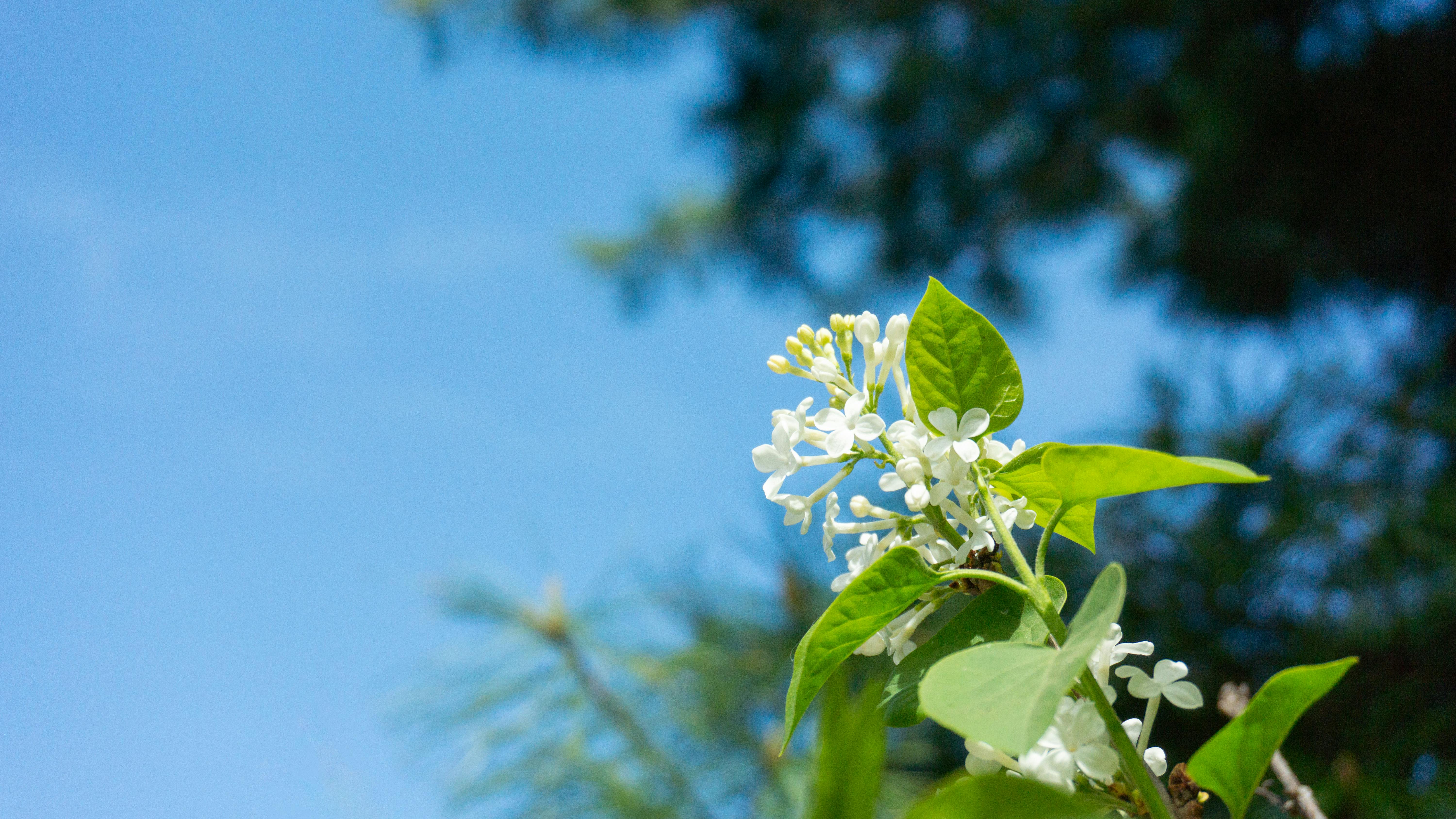 Featured image of post 博客重启