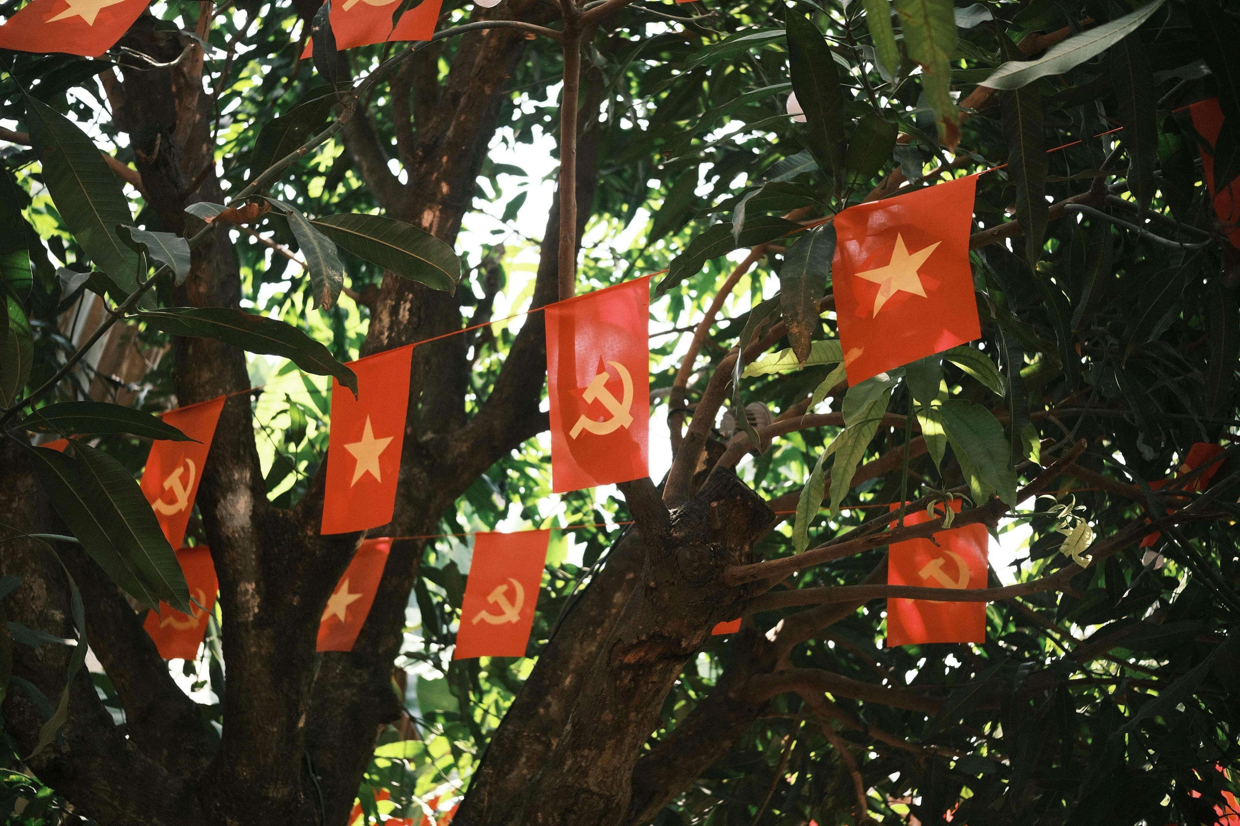 日本共産党に対する海外の基本的な見方