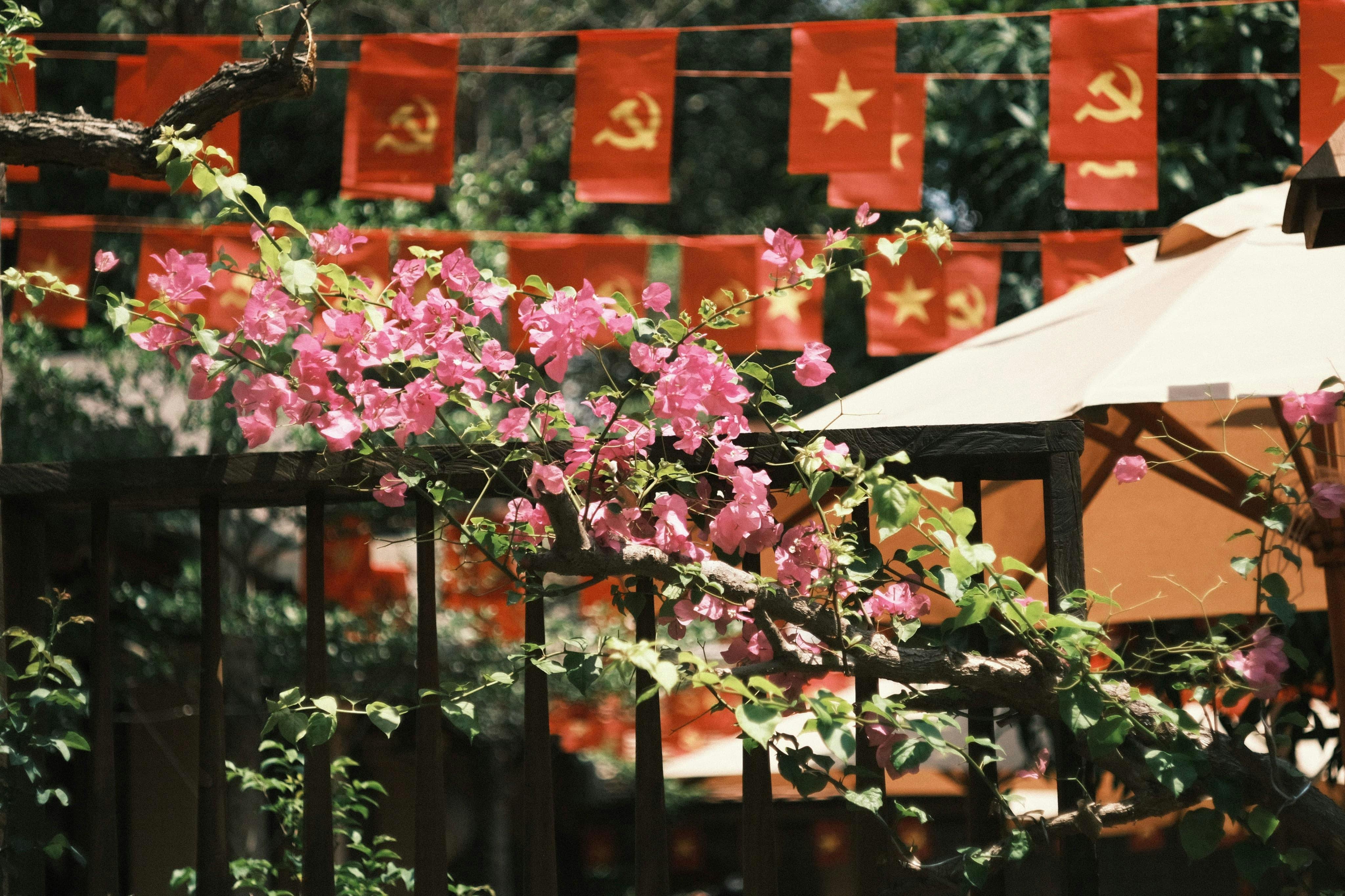 Vietnam’s AI propaganda blueprint is a preview of how states will weaponize the creator economy — Photo by 🇻🇳🇻🇳 Việt Anh 