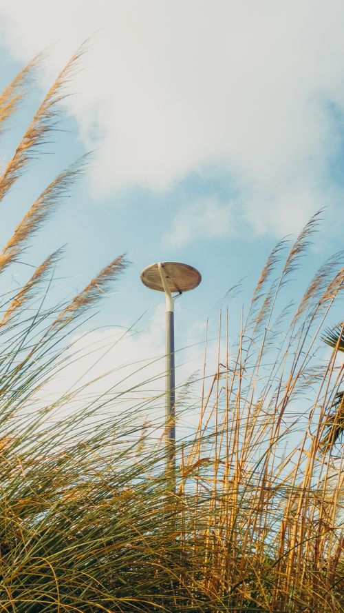 Free Streetlight surrounded by tall grass against a backdrop of blue sky with wispy clouds. Stock Photo