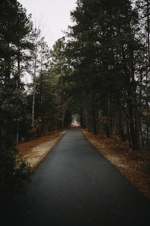 Photo Of An Empty Road During Daytime