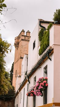 Seville