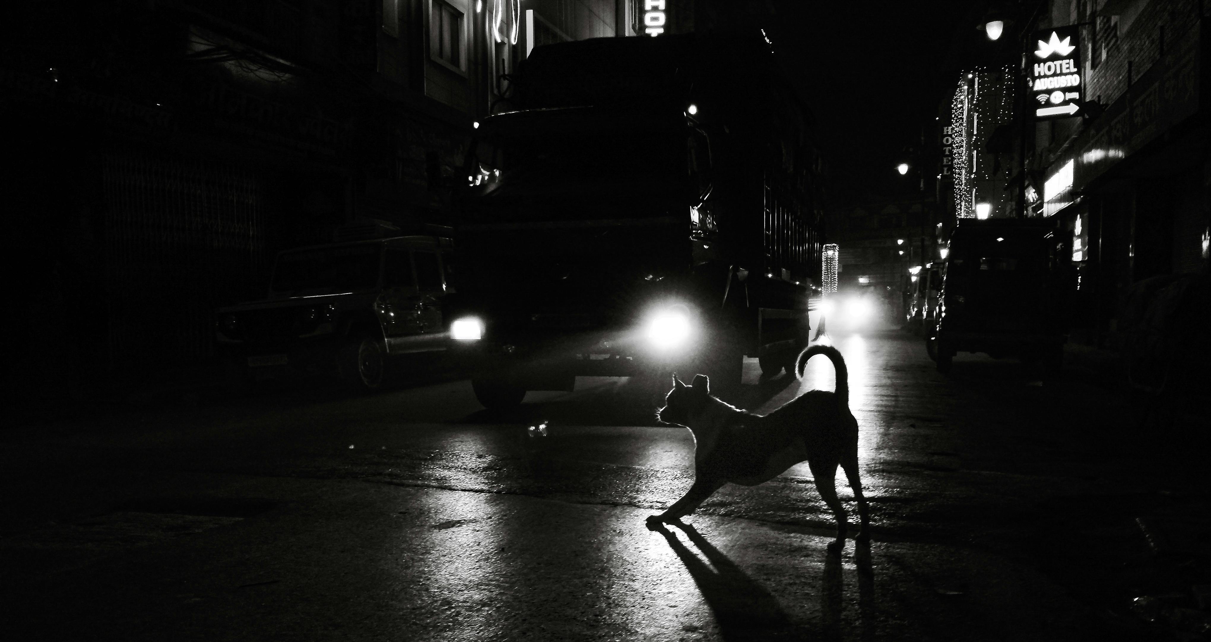 Dark+Mistress5+ +Video Photos, Download The BEST Free Dark+Mistress5