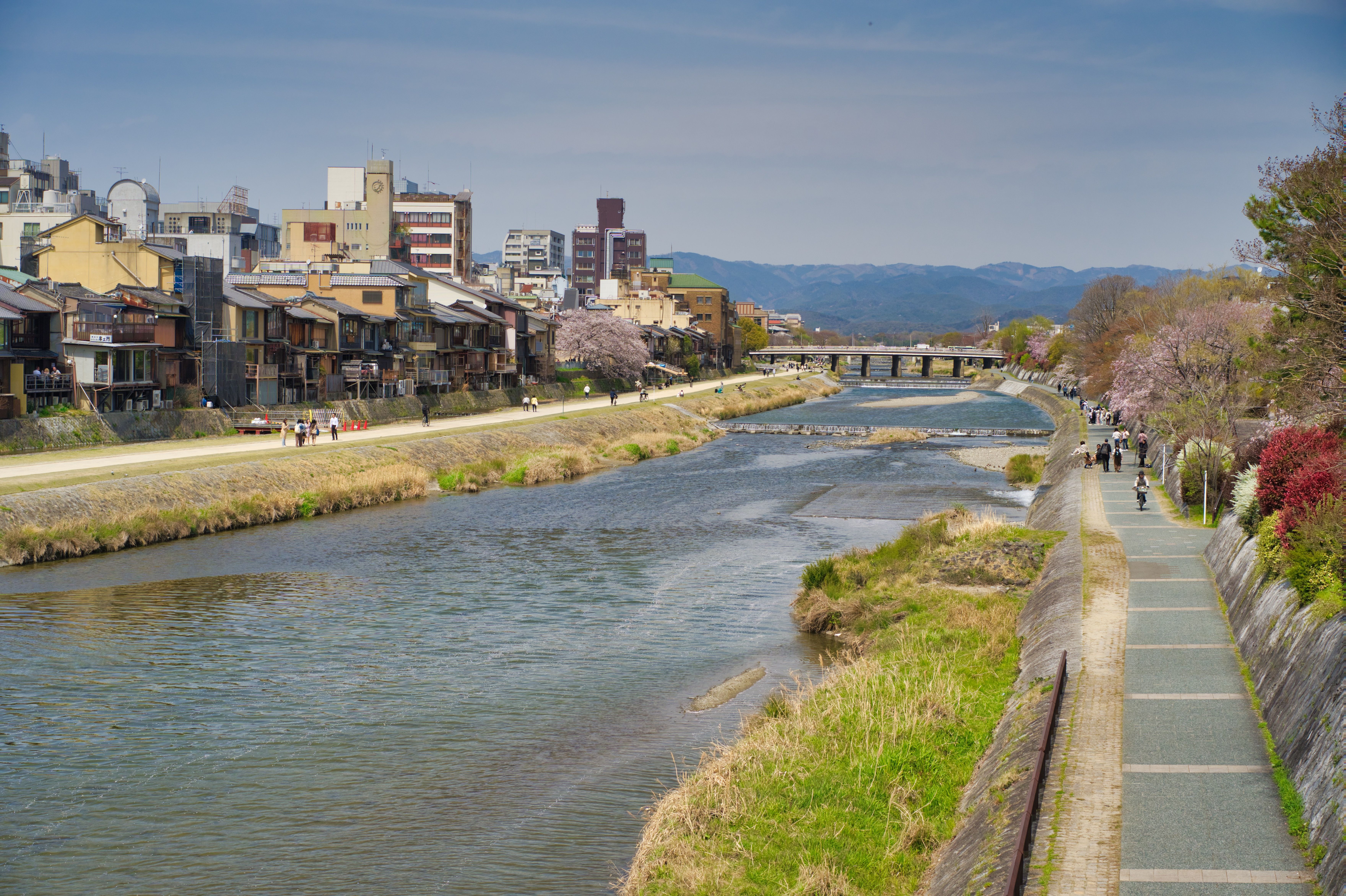 Scenic View of Kamo River in Kyoto, Japan · Free Stock Photo