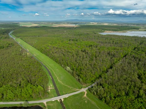Stunning aerial view showcasing lush green forests and a winding river in Garešnica, Croatia, under a bright sky.