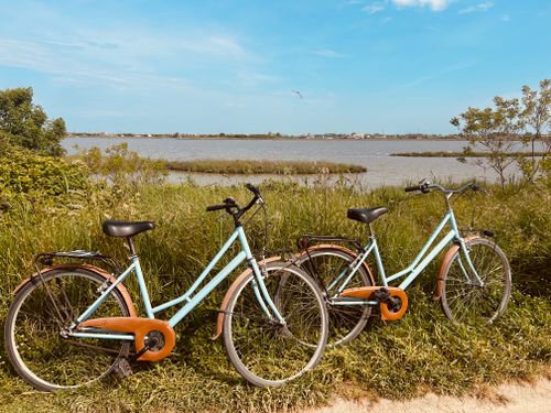 Free Two vintage bicycles resting near a peaceful lakeside on a sunny day. Stock Photo