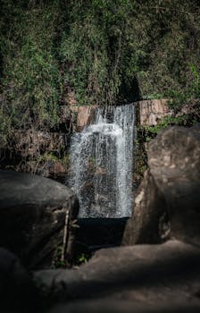 Peaceful waterfall surrounded by lush forest, perfect for nature enthusiasts.