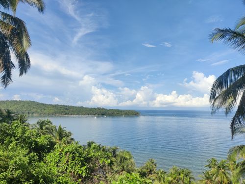 Free Tranquil coastal landscape with palm trees and clear blue sky in India. Stock Photo