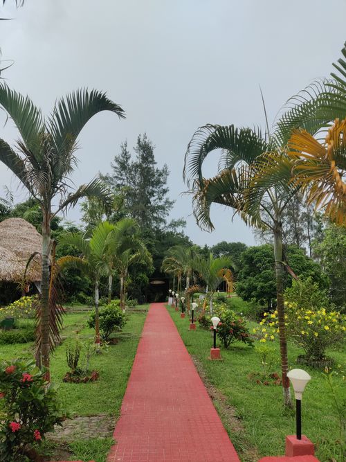 Free Lush tropical garden with a red path in Sri Vijaya Puram, India, offering a serene botanical escape. Stock Photo